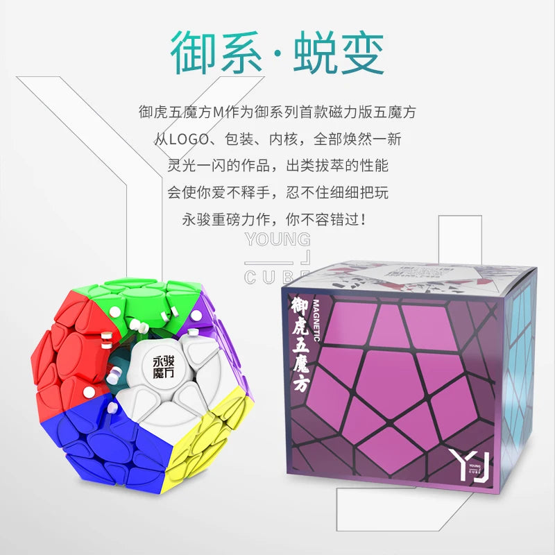 YJ Yuhu Megaminx V2M Magnetic Magic Speed Cube Stickerless Yongjun Yuhu V2M